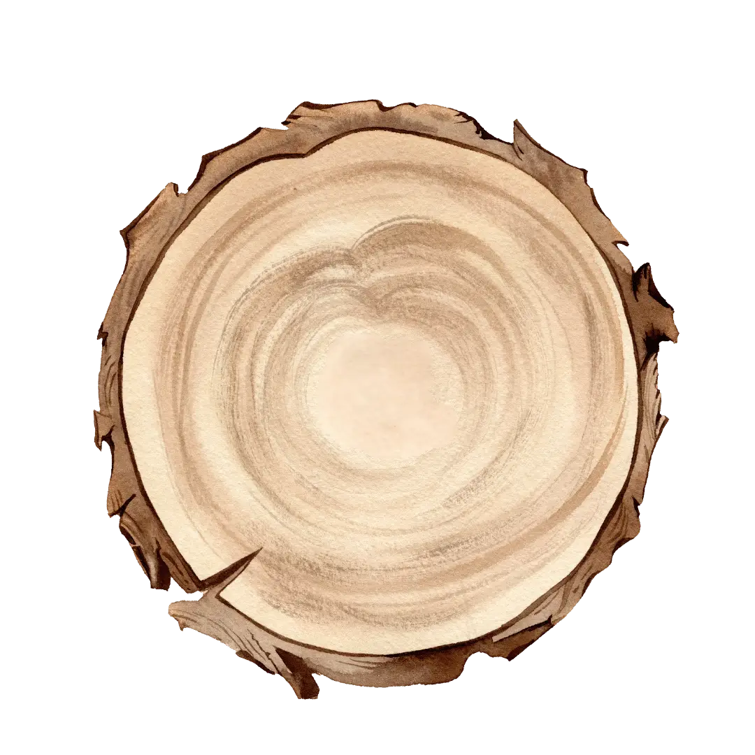 Holzstamm Icon