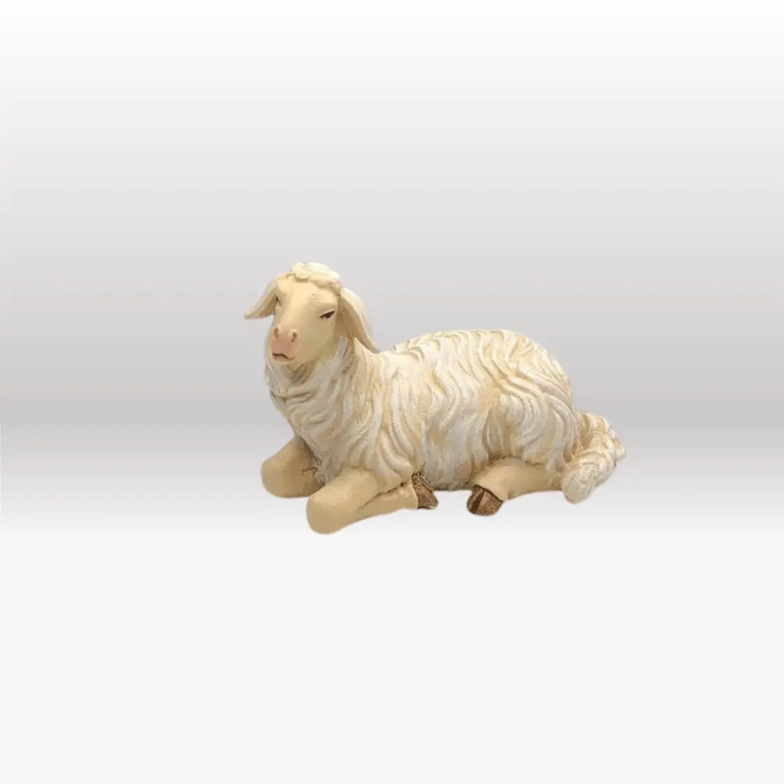 Schaf liegend linksschauend von Kostner-1