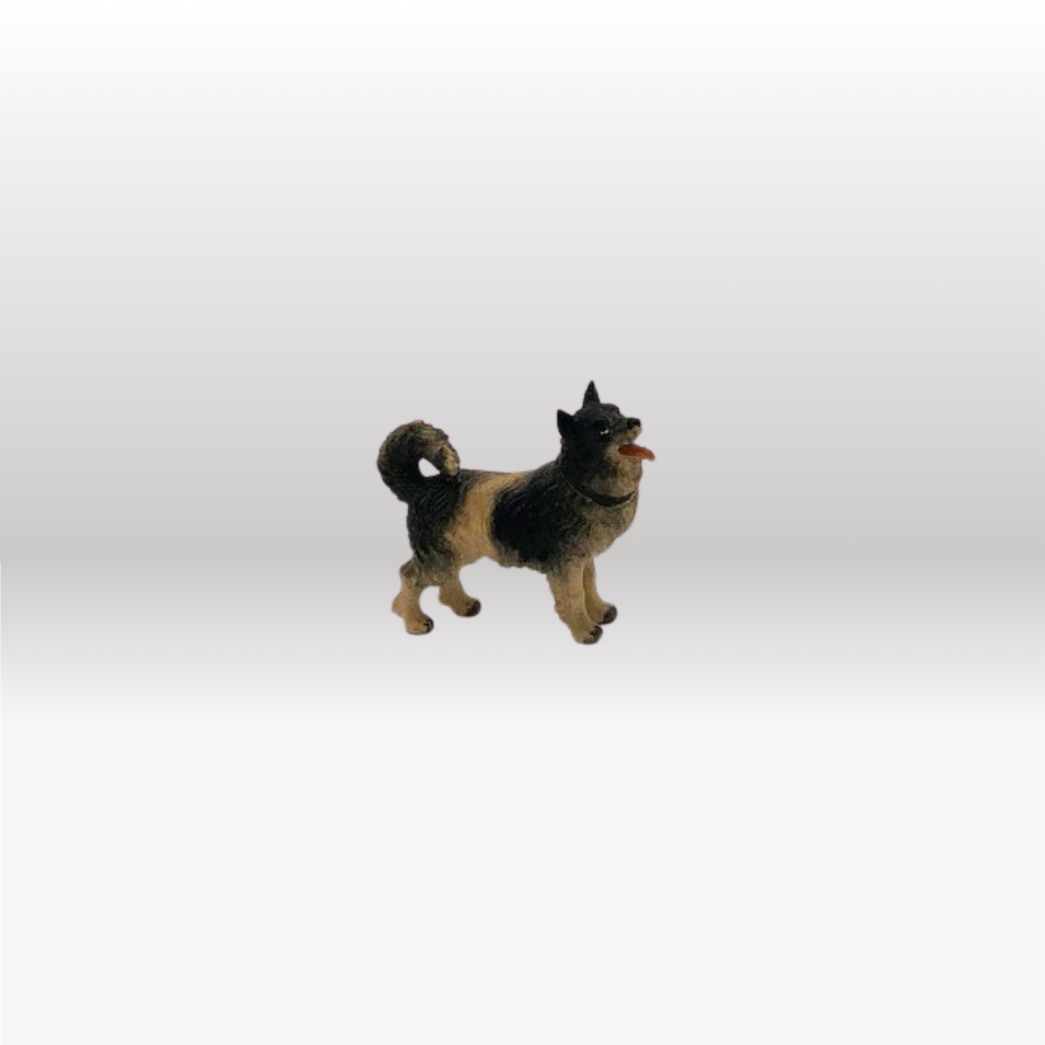 Hund Spitz von Kostner-1