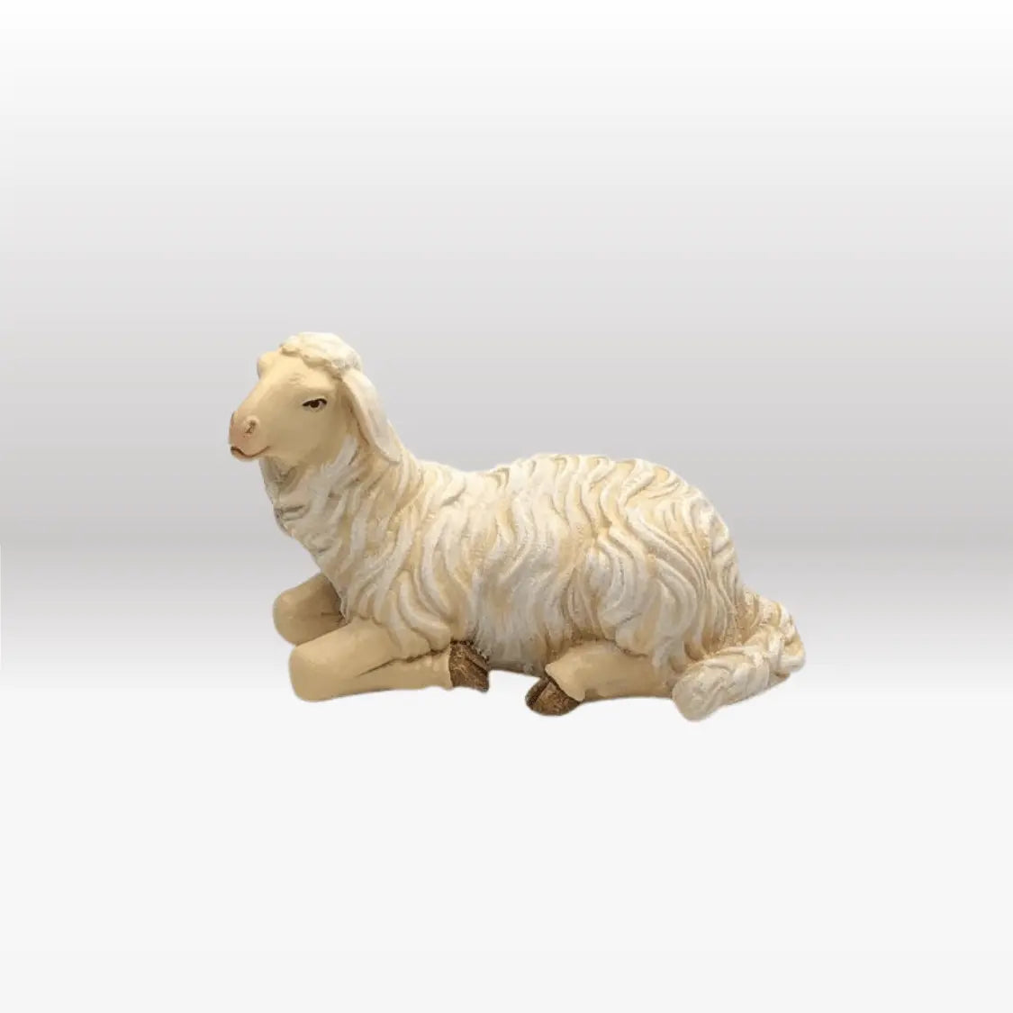 Schaf liegend linksschauend von Kostner-2